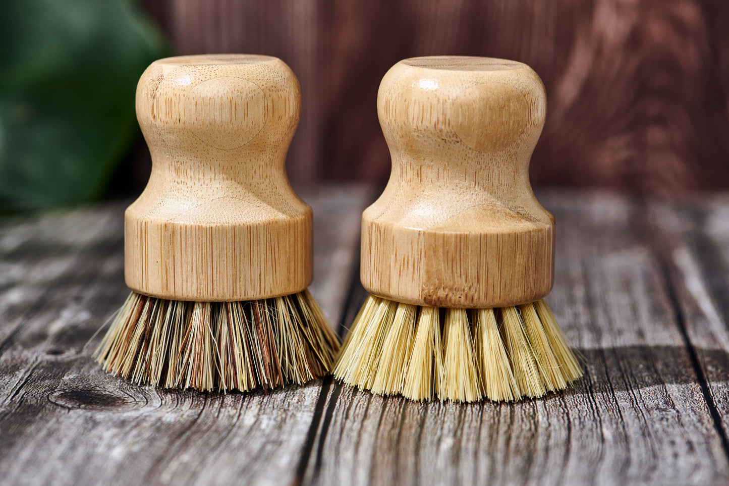 Bamboo Handle-less Dish Scrubbing Brush (Plastic Free): Softer & Lighter Colored Bristles Only