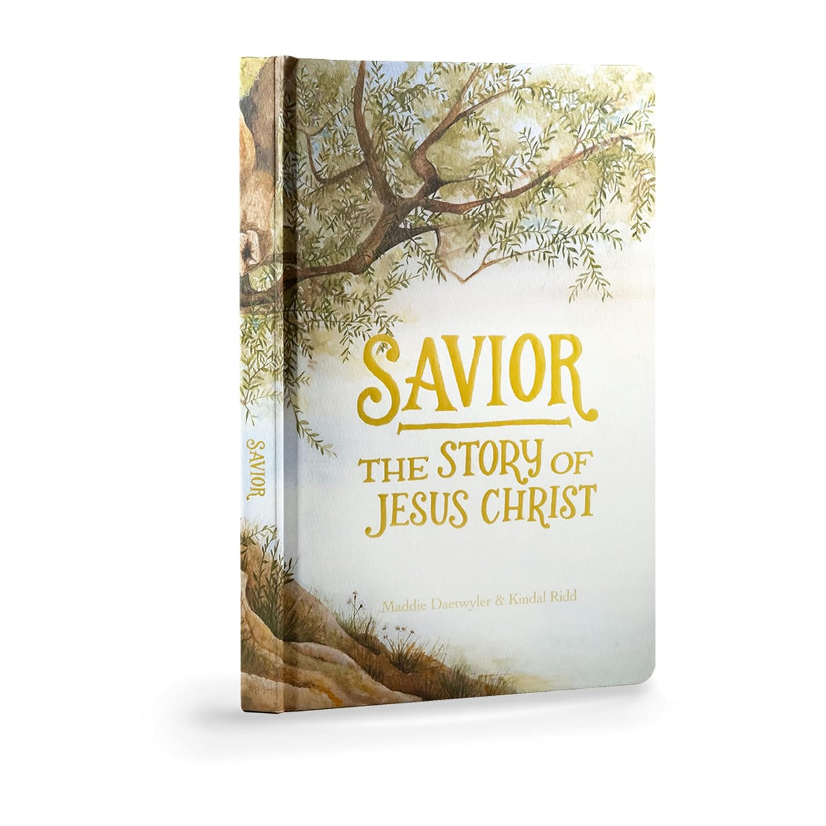 Savior, The Story of Jesus Christ