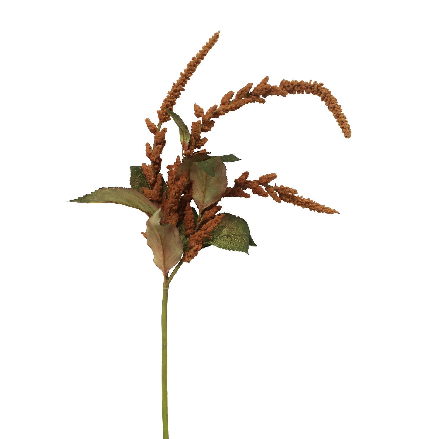HANGING AMARANTHUS 36.5'' (Rust)