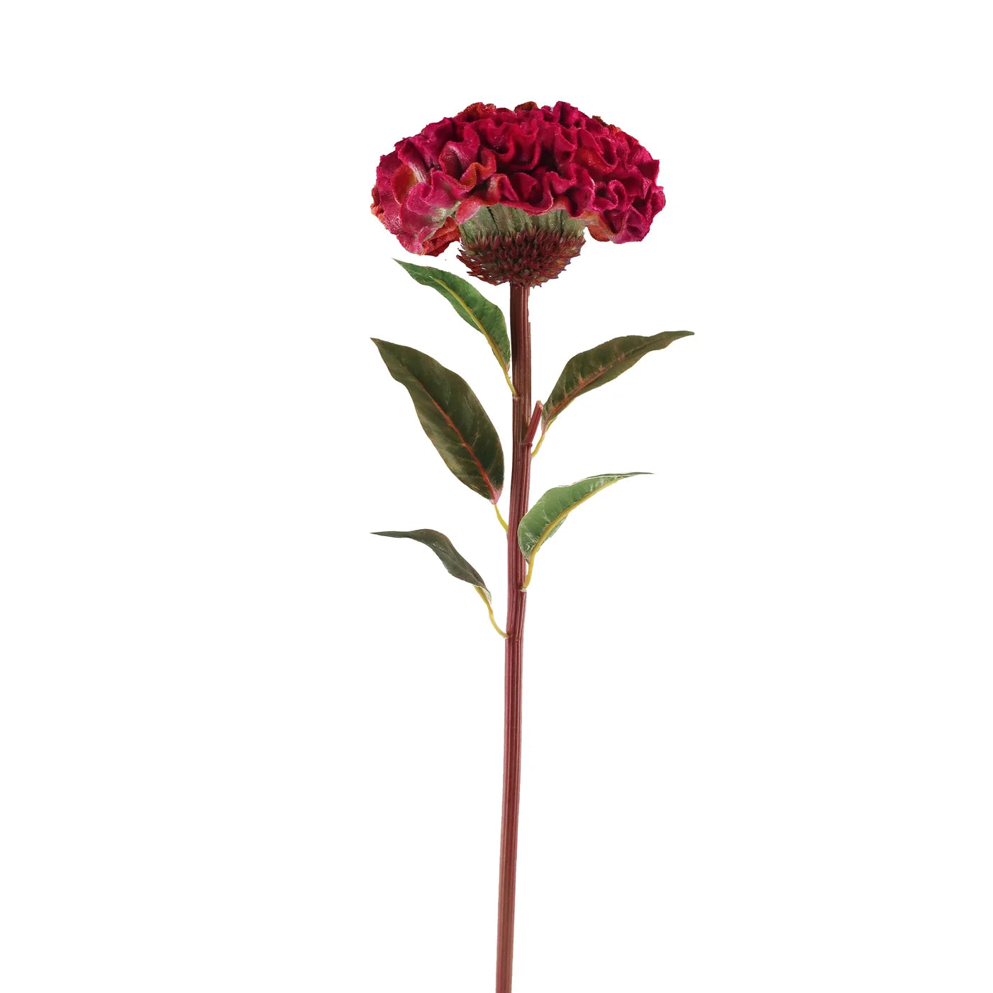 BALL CELOSIA 22.5''