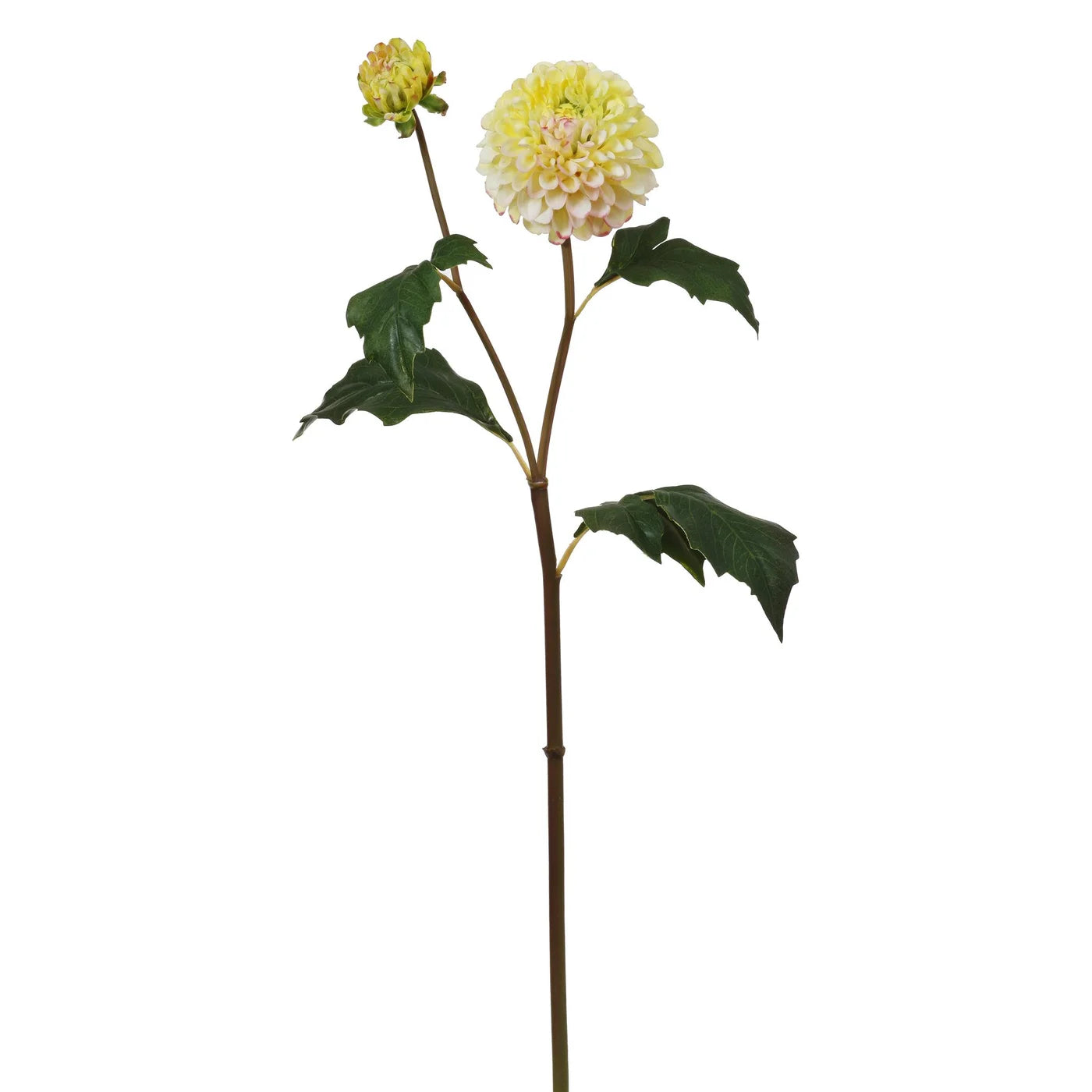 DAHLIA X 2 20'' (PINK/YELLO)