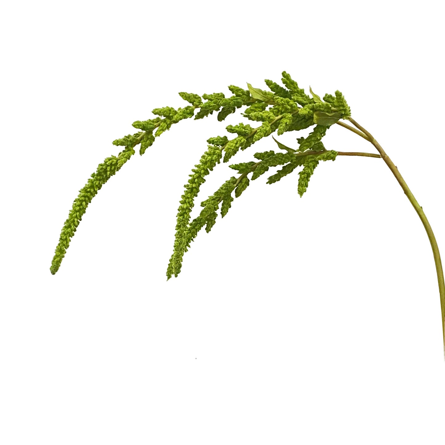 HANGING AMARANTHUS 36.5'' (GREEN)
