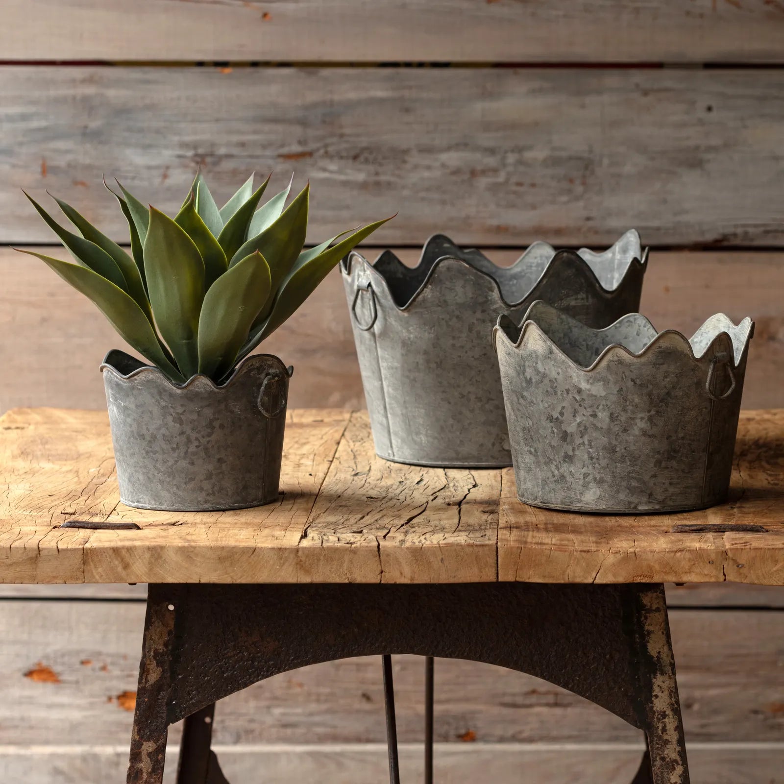 Corona Metal Planters Large