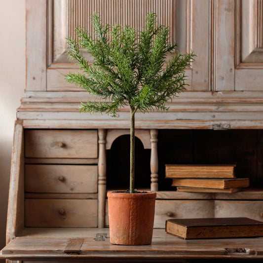 Rosemary Topiary