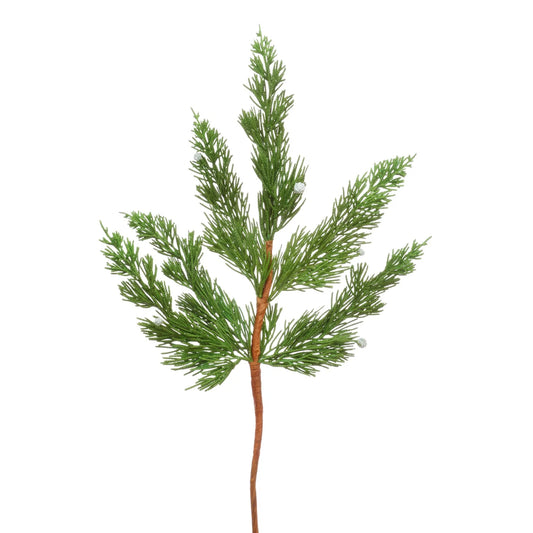 Cedar Spray