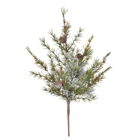 Ponderosa Pine Spray