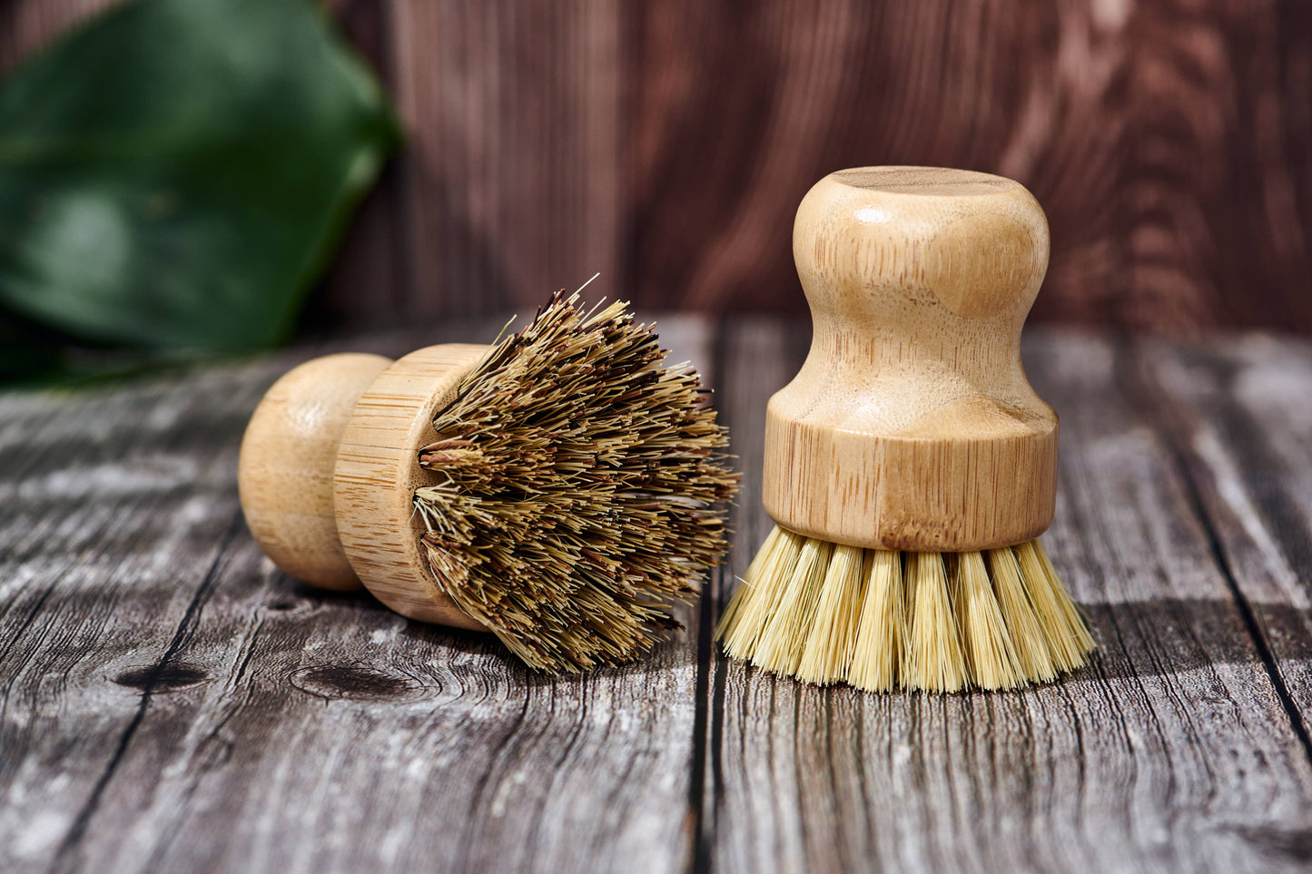 Bamboo Handle-less Dish Scrubbing Brush (Plastic Free): Softer & Lighter Colored Bristles Only