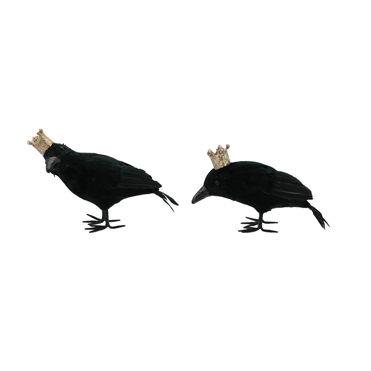 Crow with Crown